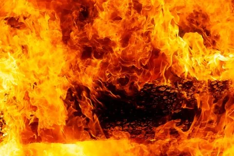 Fascinating graphic detail of burning fire consuming wooden logs. Stock Illustration
