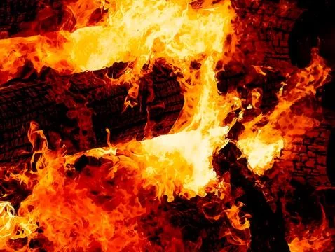 Fascinating graphic detail of burning fire consuming wooden logs. Stock Illustration