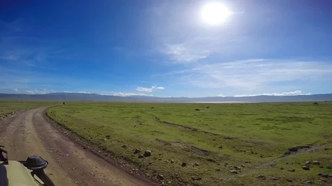 A fascinating journey through the African Savannah. Tanzania. Stock Footage