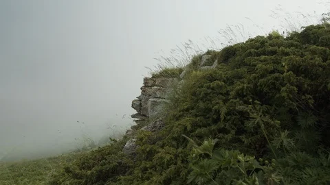 Fascinating landscapes of alpine meadows Stock Footage 112734848