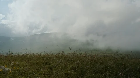 Fascinating landscapes of alpine meadows Stock Footage 112734994