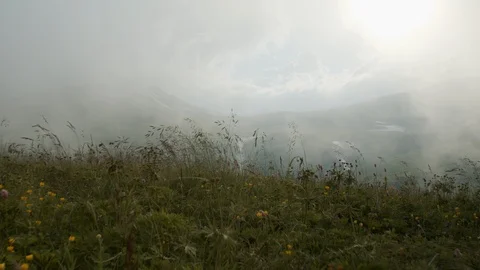 Fascinating landscapes of alpine meadows Stock Footage 112735099