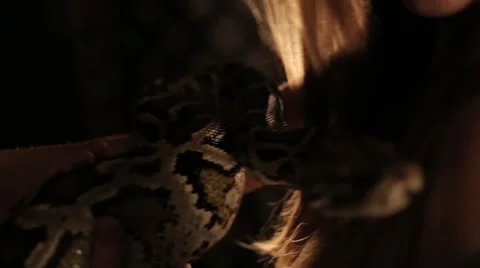 Fascinating look at a model with a python face 库存影片 68936215