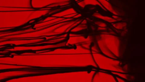 Fascinating movement of black abstract lines on a black background. Stock Footage 266053679