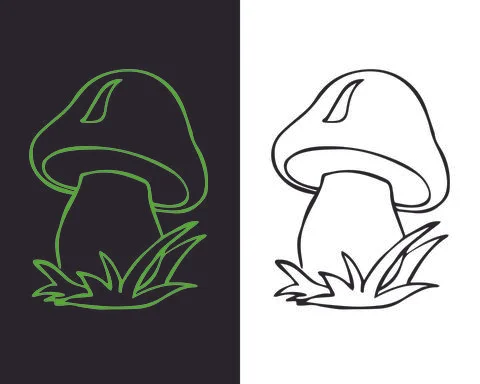 Fascinating Mushrooms vector file | Editable file Illustrazione stock