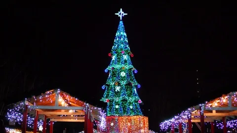 Fascinating night illumination lighting up on big Christmas tree at cozy festive Stock Footage 100142349