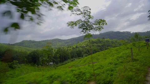 Fascinating plate side View on the road to tea plantation Stock Footage 107912638