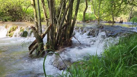 Fascinating sinter terraces of the White Lauter, an impressive natural wonder in Stock Footage 305800226