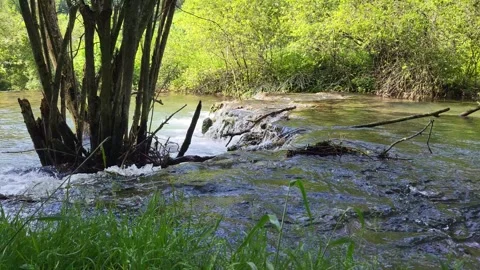 Fascinating sinter terraces of the White Lauter, an impressive natural wonder in Stock Footage 305800228