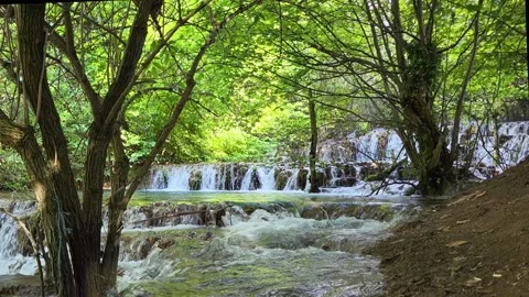 Fascinating sinter terraces of the White Lauter, an impressive natural wonder in Stock Footage 305800235