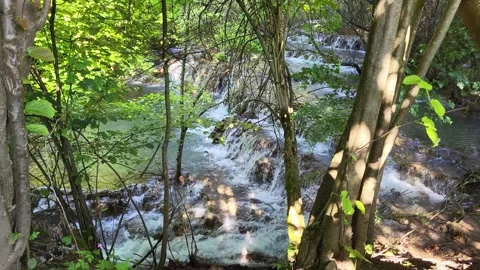 Fascinating sinter terraces of the White Lauter, an impressive natural wonder in Stock Footage 305800561