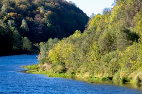 Fascinating view of the river and forest from a bird's eye view. Stock Photos