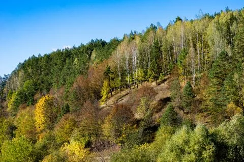 Fascinating view of the river and forest from a bird's eye view. Stock Photos