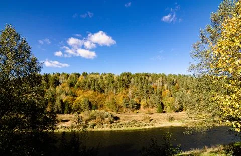 Fascinating view of the river and forest from a bird's eye view. Stock Photos