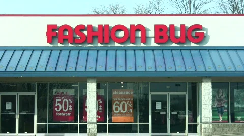 Fashion Bug Stock Footage 124469
