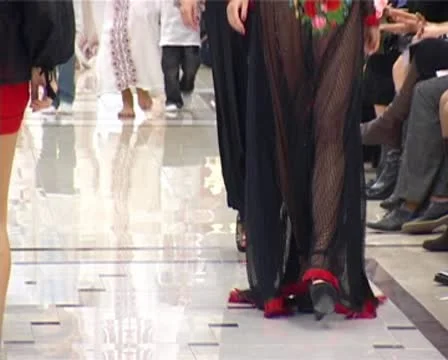 Fashion Vídeos de archivo 10565972