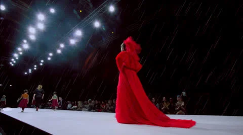 Fashion Stock Footage 22609461