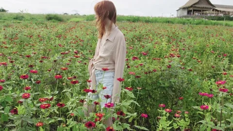 Fashion model posing in a field of red zinnias Stock Footage 314981780