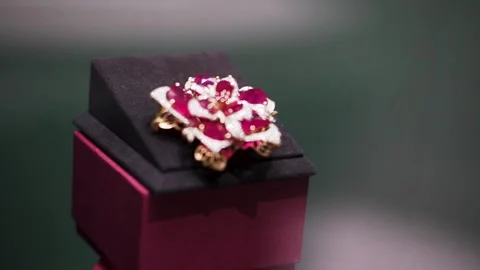 Fashion Rose Ring Stock Footage 144756367