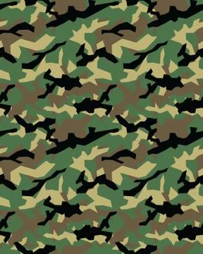 Fashionable camouflage pattern Stock Illustration
