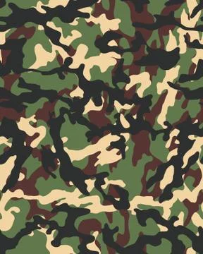 Fashionable camouflage pattern Stock Illustration
