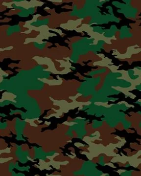 Fashionable camouflage pattern Stock Illustration