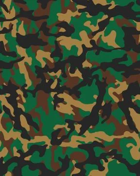 Fashionable camouflage pattern Stock Illustration
