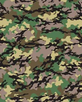 Fashionable camouflage pattern Stock Illustration