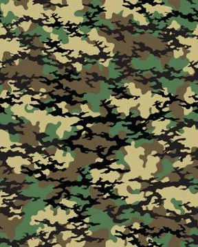 Fashionable camouflage pattern Stock Illustration