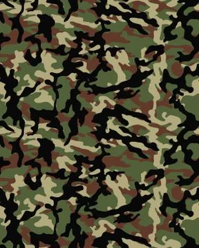 Fashionable camouflage pattern Stock Illustration