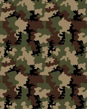 Fashionable camouflage pattern Stock Illustration