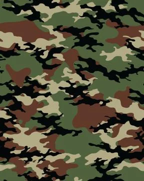Fashionable camouflage pattern Stock Illustration