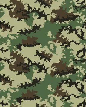 Fashionable camouflage pattern Stock Illustration