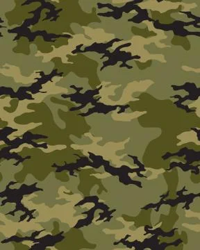 Fashionable camouflage pattern Stock Illustration