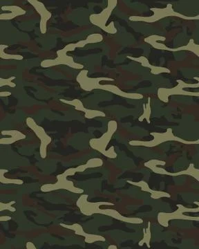Fashionable camouflage pattern Stock Illustration