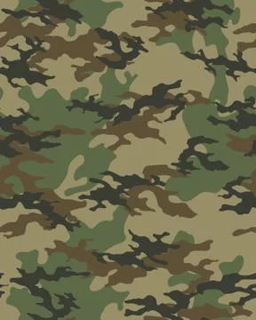 Fashionable camouflage pattern Stock Illustration