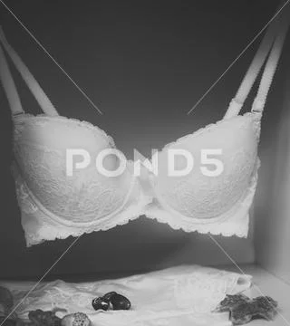 Fashionable lingerie concept. Tender female underwear, brassiere and panties Stock Photos