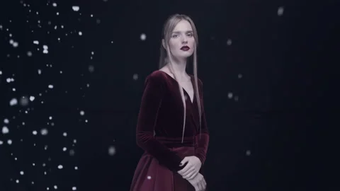 Fashionable Snow Queen. Stock Footage 120801437
