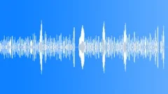 Fast accordeon polka (NO REVERB) Stock Music
