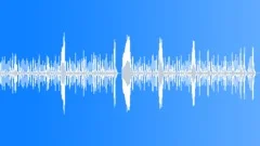 Fast accordeon polka (+ REVERB) Stock Music