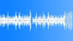 Fast accordeon polka2 (NO REVERB) Stock Music