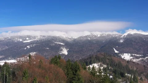 Fast Aerial drone flight over pine forests at Carpathian mountains, ukraine, 4k Stock Footage 130002255