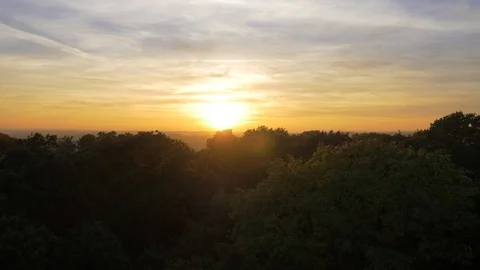 Fast aerial move through tree canopy with sun bursting through Stock Footage 102399200