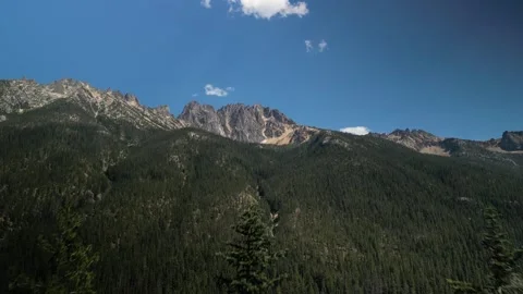 Fast aerial past pine tree looking at North Cascade mountains in Washington Stock Footage 282321620
