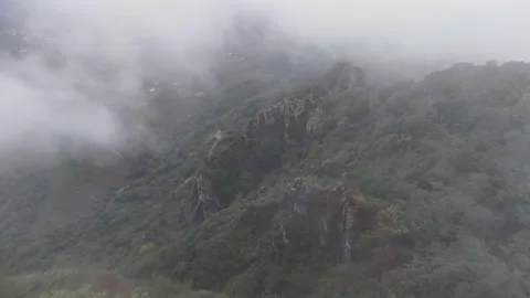 Fast Aerial Push into Misty Forest, Foggy Mountain Trees Stock Footage 338382566