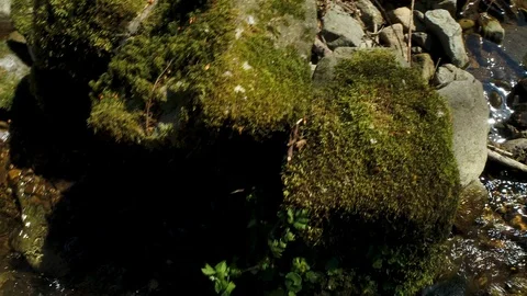 Fast Aerial view as close-up over a torrent with small waterfalls Stock Footage 128718899