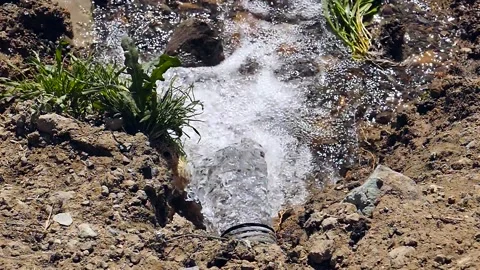 Fast and clear flowing source of potable water, Vídeos de archivo 196494729