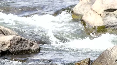 Fast and cool flowing river water moving around large rocks Video stock 170074041
