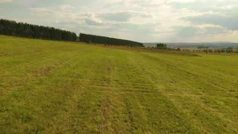 Fast and low flight over an autumn field. Video stock 139857143
