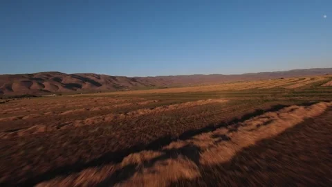 Fast and Low Flight Over Freshly Cut Hay in Field at Sunset Stock Footage 245059997
